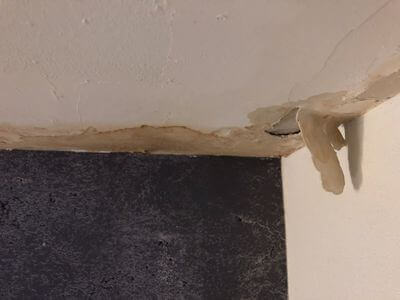 Professional water damage restoration services in St. Petersburg